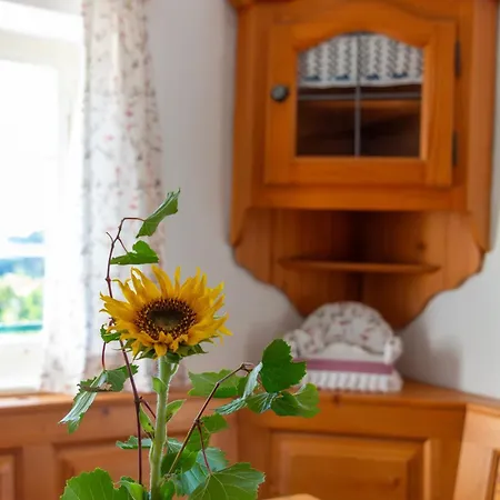 Σπίτι διακοπών Winzerhaus Loescherannerl